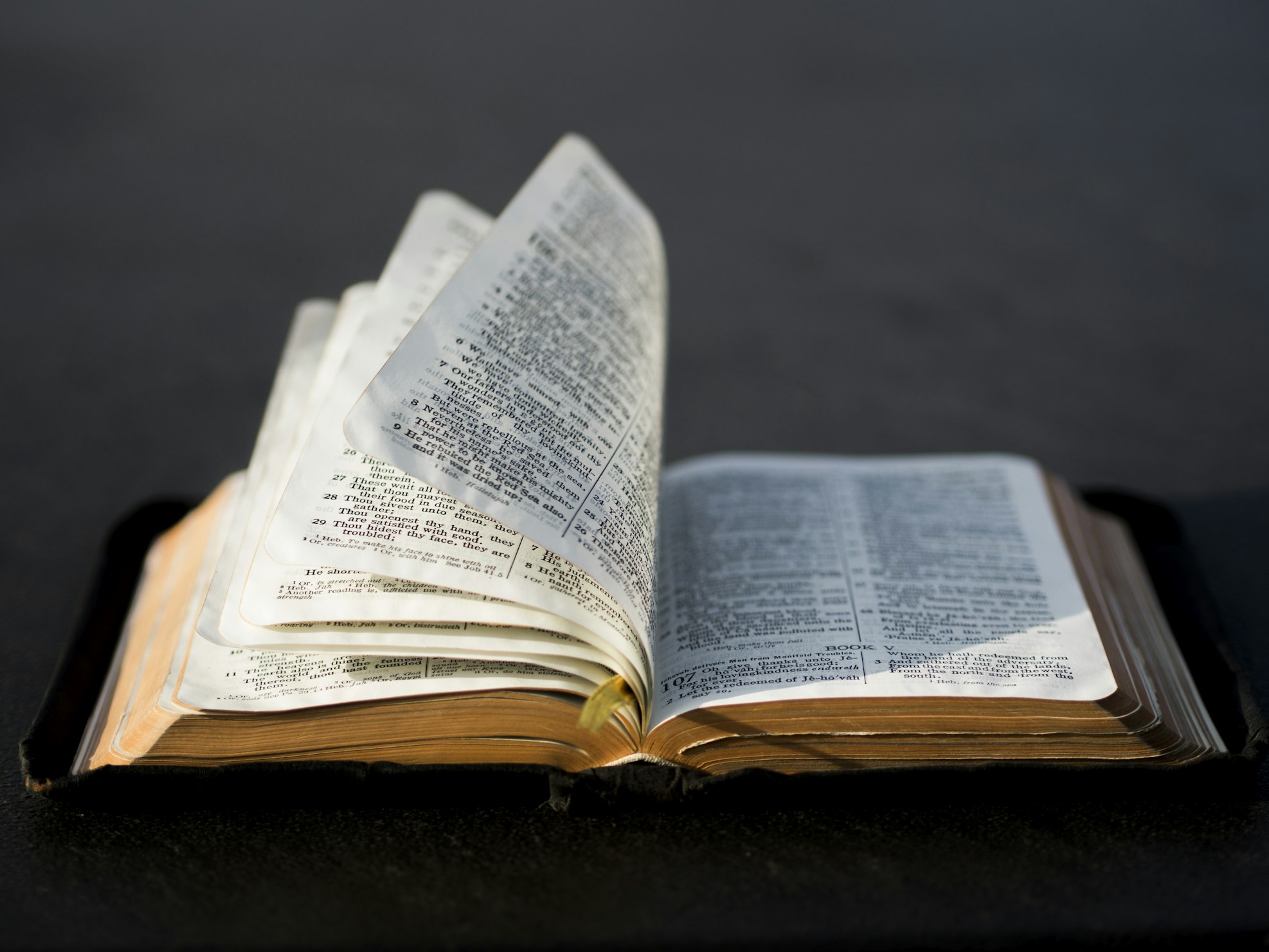 A phot of an open Bible with pages turning in the breeze