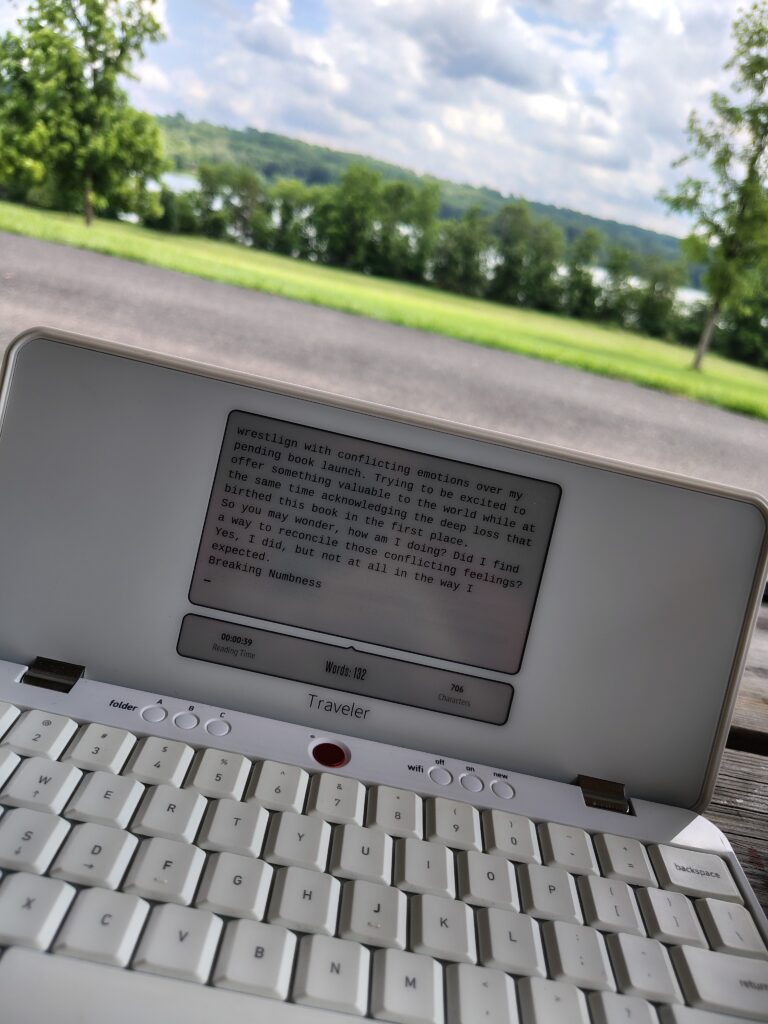 A picture of my portable typewriter screen with Peace Valley Park in the background.