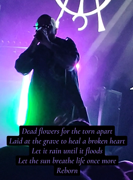 Photo of Demon Hunter playing Dead Flowers